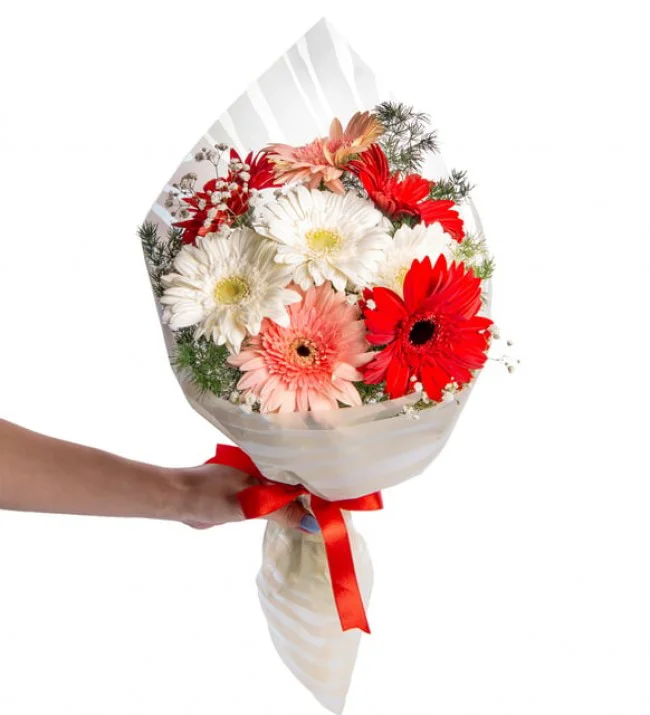Rengarenk Gerbera Çiçekleri